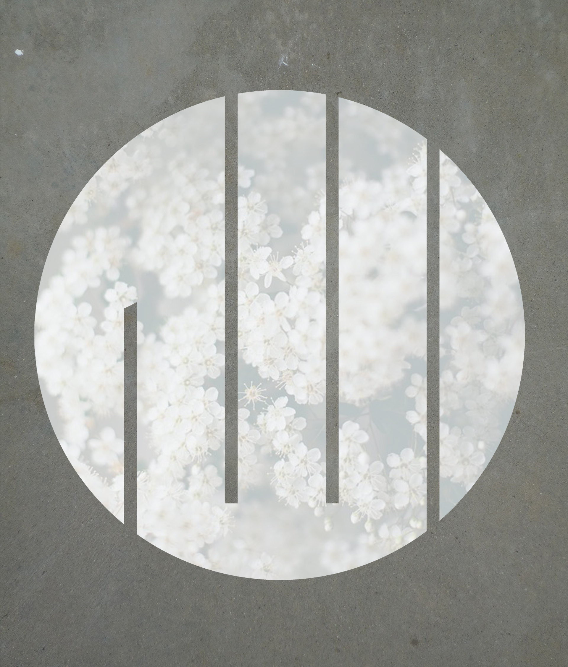 IP076 – Medium